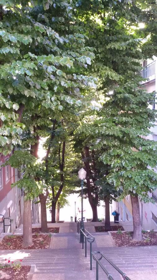 Sunny Orange Garden In * Lissabon